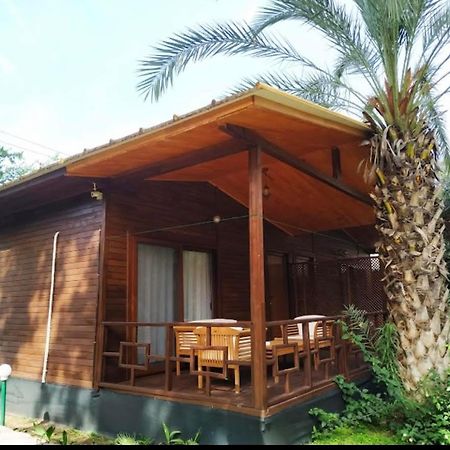 Olympos Yavuz Hotel Çıralı Eksteriør billede
