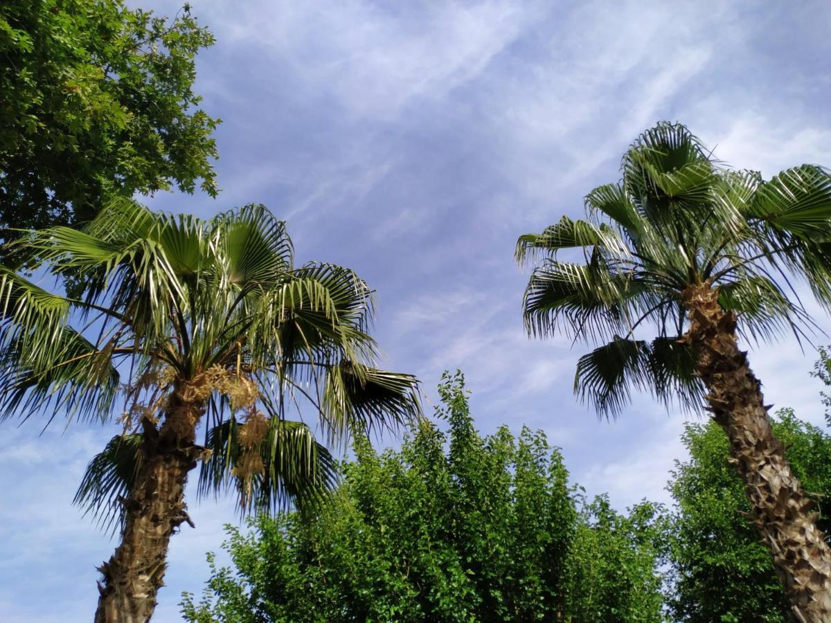 Olympos Yavuz Hotel Çıralı Eksteriør billede