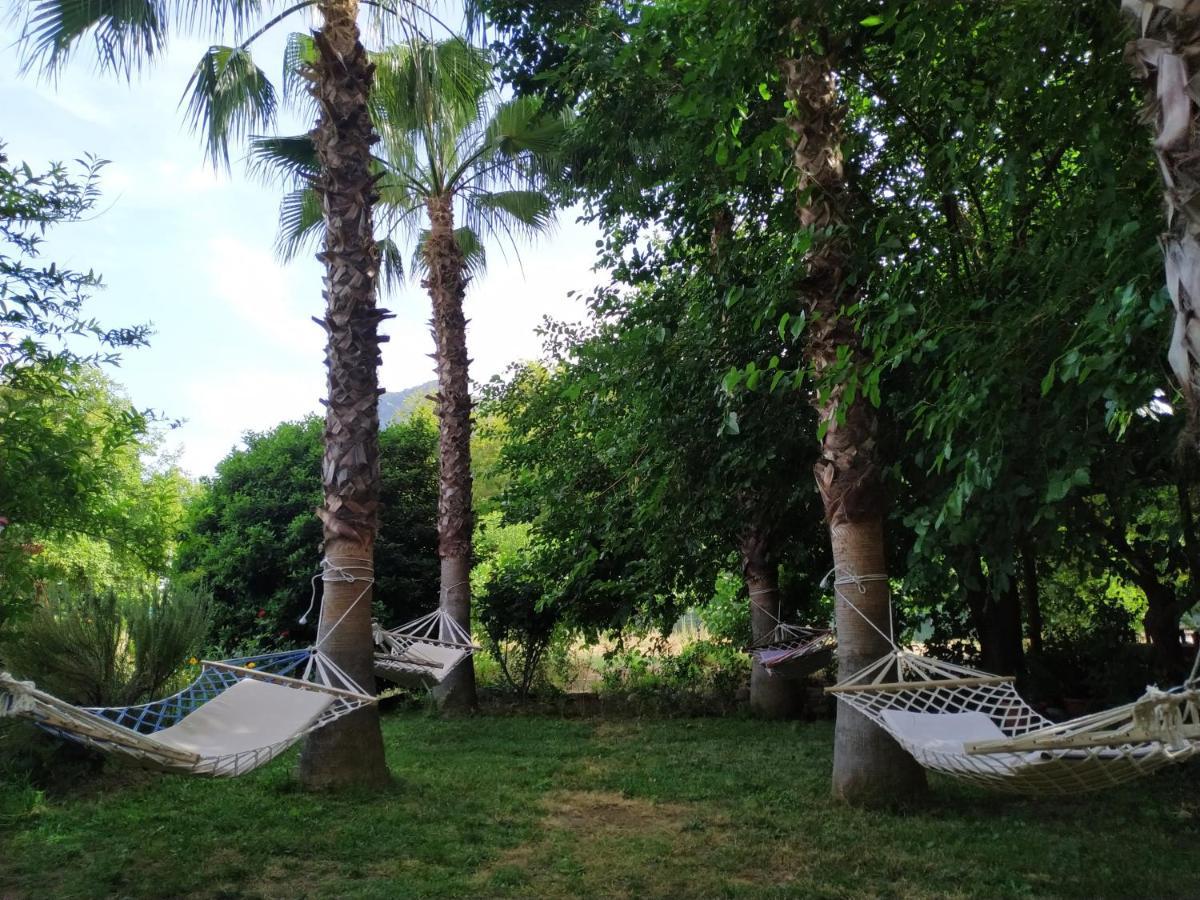 Olympos Yavuz Hotel Çıralı Eksteriør billede