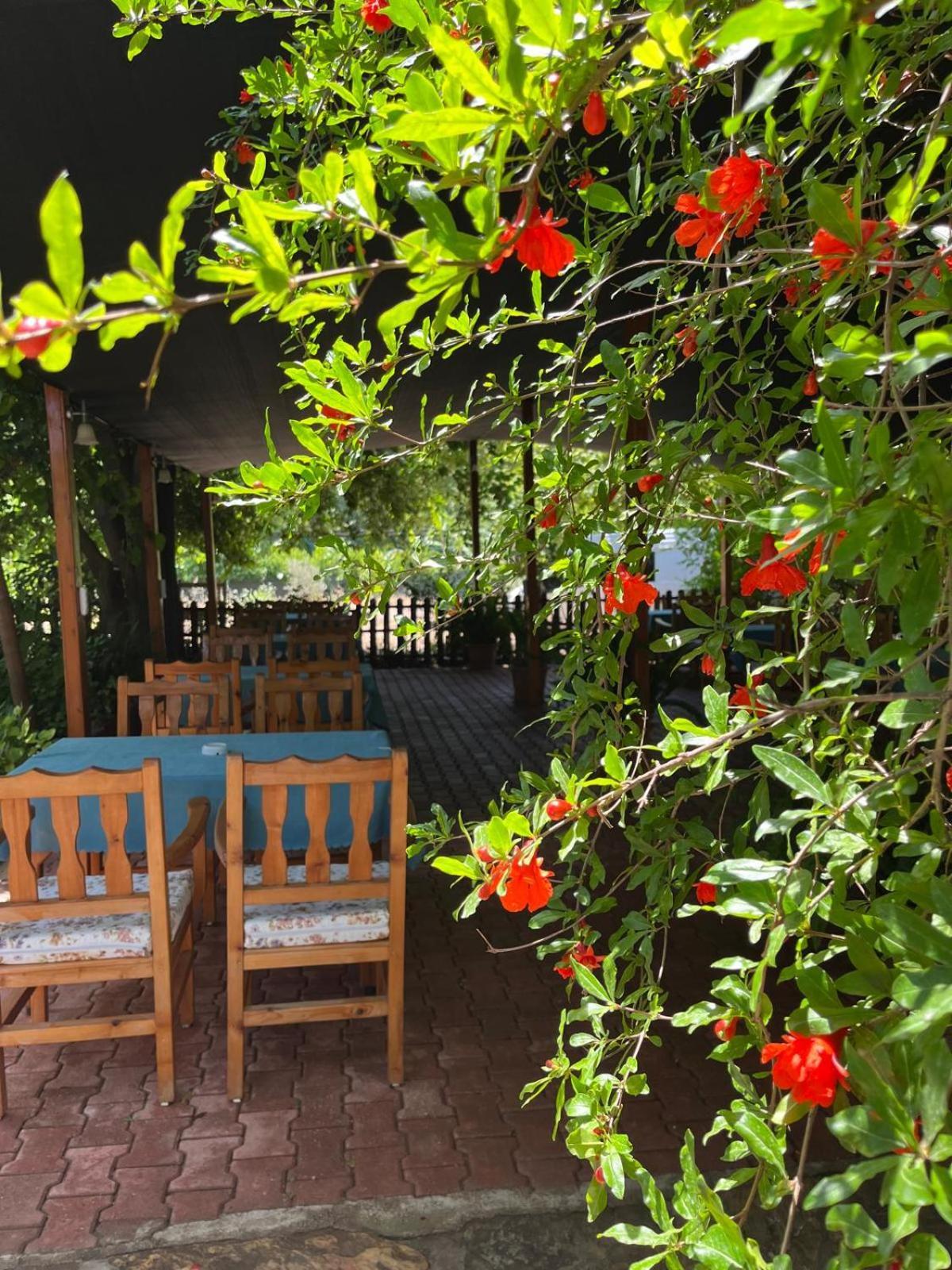 Olympos Yavuz Hotel Çıralı Eksteriør billede